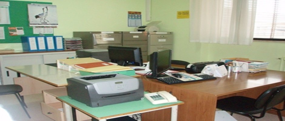 UST PAVIA 24 MESI ATA DEFINITIVE: graduatorie permanenti per immissioni in ruolo.